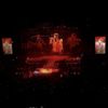 Sheetal P.